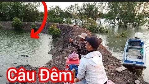 Câu Cá Tráp Đầu Mùa Bằng Mồi Cá Bống và ( Còng,Nha) Câu Đêm Ngày Cuối Nước || Câu Đùng Mỹ Xuân