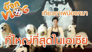 บ๊อกVlog EP.35 : Dog Country Café คาเฟ่น้องหมาที่ใหญ่ที่สุดในเอเชีย