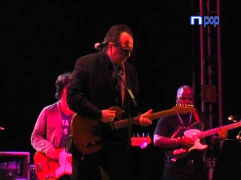 Elvis Costello Terral Mlaga 2007