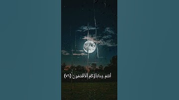قَالُوا نَعْبُدُ أَصْنَامًا فَنَظَلُّ لَهَا عَاكِفِينَ...... #آيات من سورة الشعراء #اكسبلور #لايكات