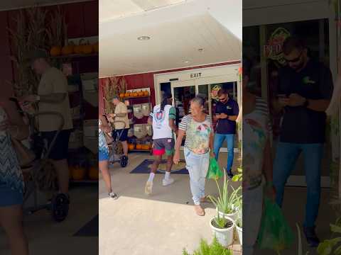 BOYNTON BEACH VIBES Animaledventures Invited To A Special Farmers Market Fyp Vibes