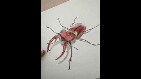 How to Draw An Impossible 3D Star Narrated Step By Step | Easy 3D illusion Drawing tutorials