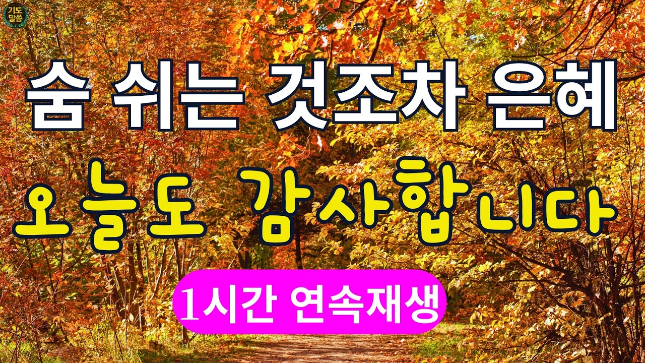 [찬송가 매일 1시간 연속듣기] 오늘도 주님께 감사드립니다, 찬송가베스트, 은혜찬송, 찬송가,예배 찬송가, 새벽묵상,아침예배,하나님은혜