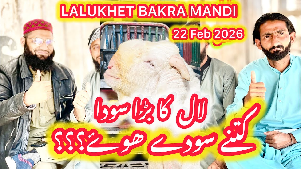 Sunday Lalukhet Bakra Mandi Latest Rates Updates || 22 Feb 2026 || Bakra Mandi 2026 