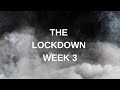 THE BULLDOGS  | LOCKDOWN WEEK 3