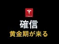 テスラ株　確信　黄金期が来る。DOGEの衝撃