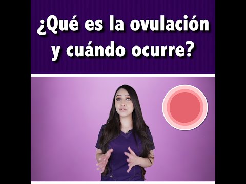 Video: ¿Dónde ocurre la ovulación?