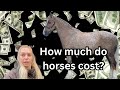 How much does it cost to own a horse i add up my monthly expenses
