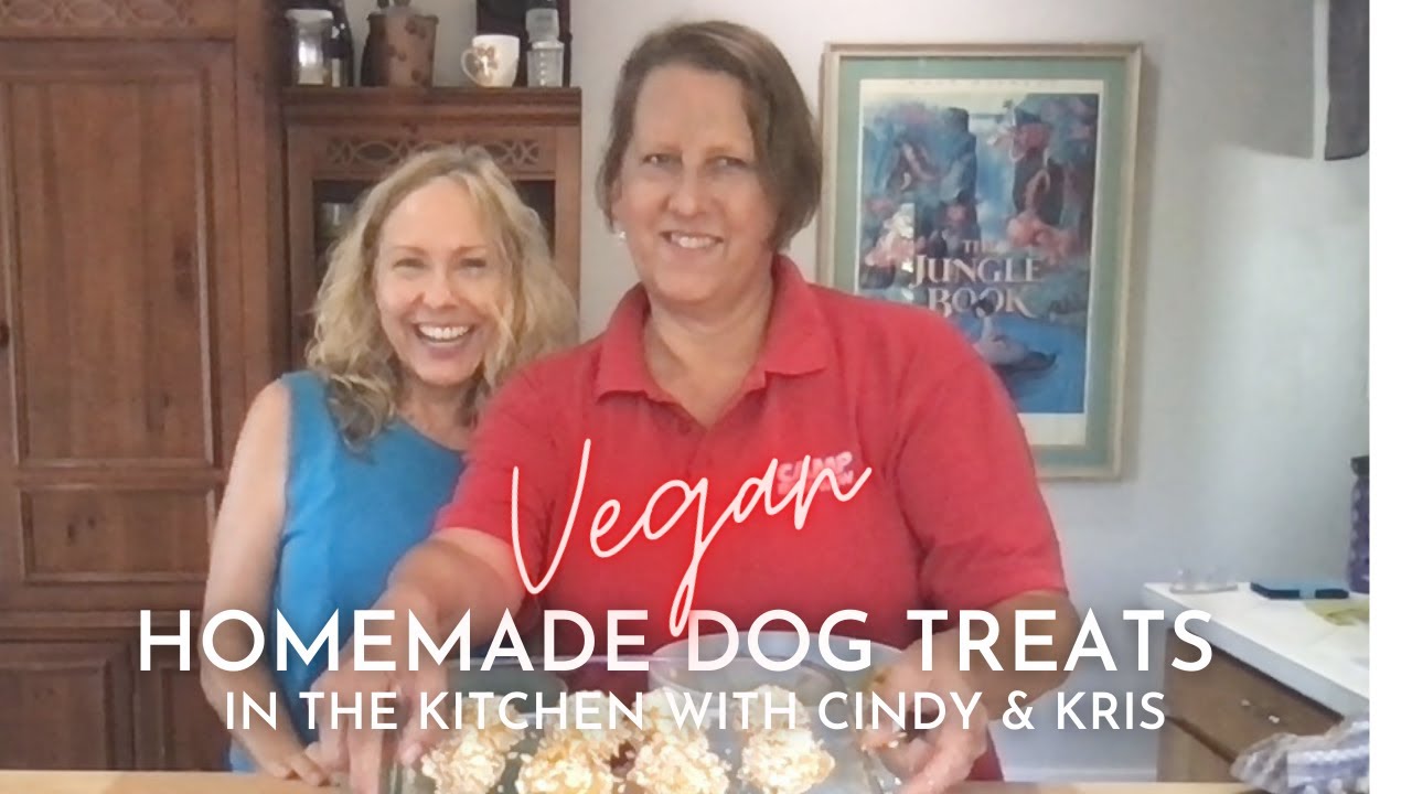 Homemade Dog Treats YouTube