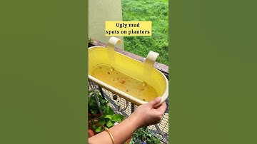 Stay monsoon-ready with WD40 Multipurpose Spray #wd40india #wd40 #wd40brand #2000problemsonesolution