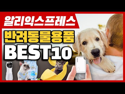 알리익스프레스 반려동물용품 BEST10