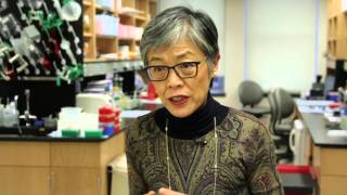 Parkinsons Disease Protein Causes Disease Spread And Neuron Death In Healthy Animals