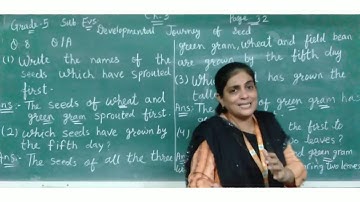 EM   Grade -  5    EVS    Chapter -  3   Developmental journey of seeds