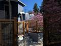 Retaining Walls, Fencing, Landscape Lighting &amp; Design - Seattle, WA | Green Day Landscape