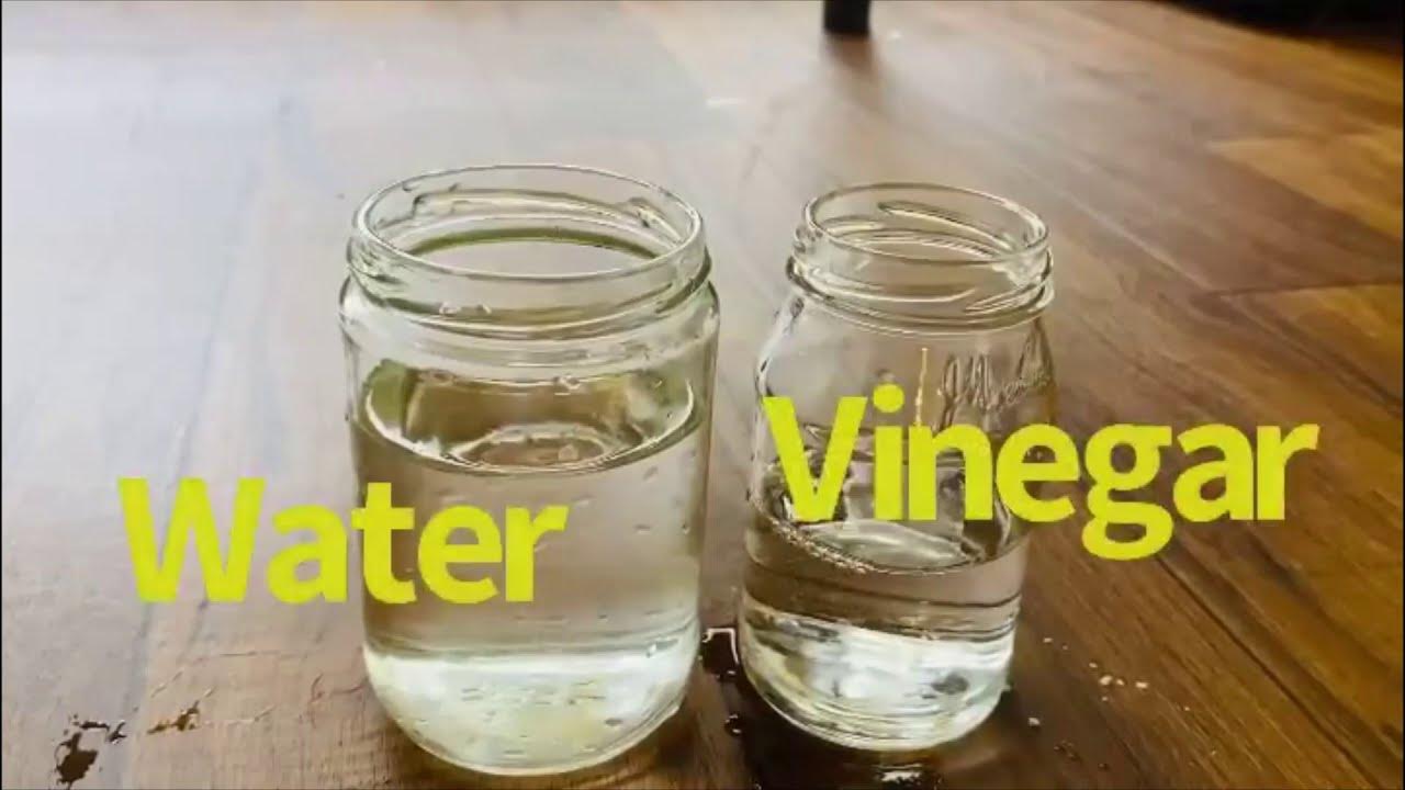 Chalk weathering Simple science experiment for kidsChalk and vinegar