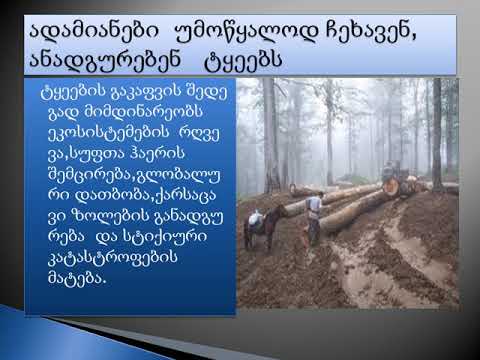 ტყე  შეუნახე შვილებსა