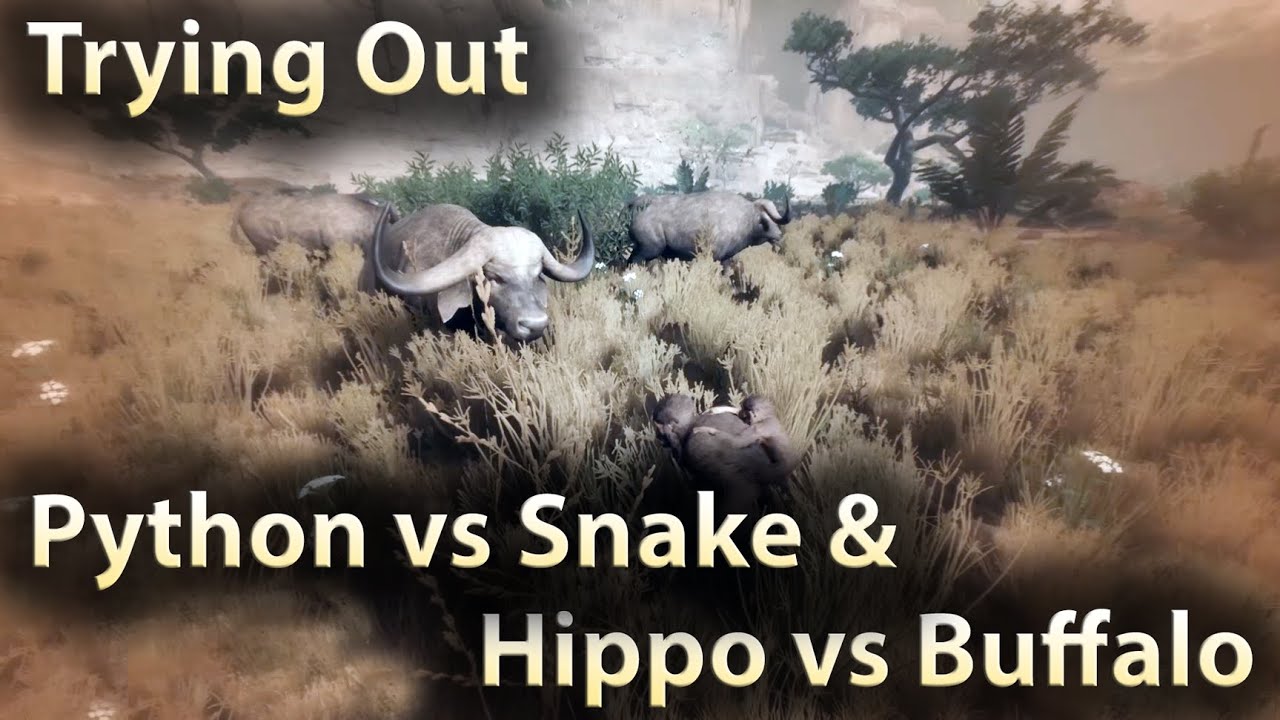 Trying out Hippo vs Buffalo & Python vs Horse Ancestors The Humankind ...