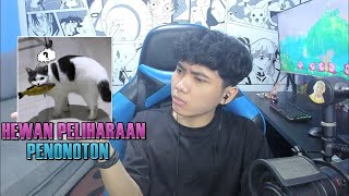 Review Hewan Peliharaan Kalian 2