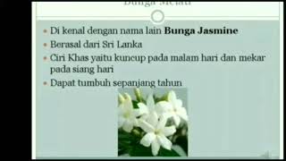 PLH KELAS 4 MENGENAL TANAMAN YANG DITANAM DALAM POT