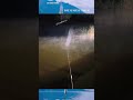 I was a bit scared when I saw this while fishing at night #fishing#fishinglife #fish