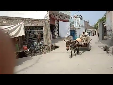 afghanistan-border-village-life-in-pakistan-||-afghan-videos