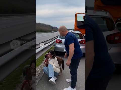 Video Tremenda, abbandona il cane per andare in vacanza… vergogna. #cane #abbandonato #viralvideo