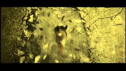 Серега Мел судьбы или песня Тамерлана