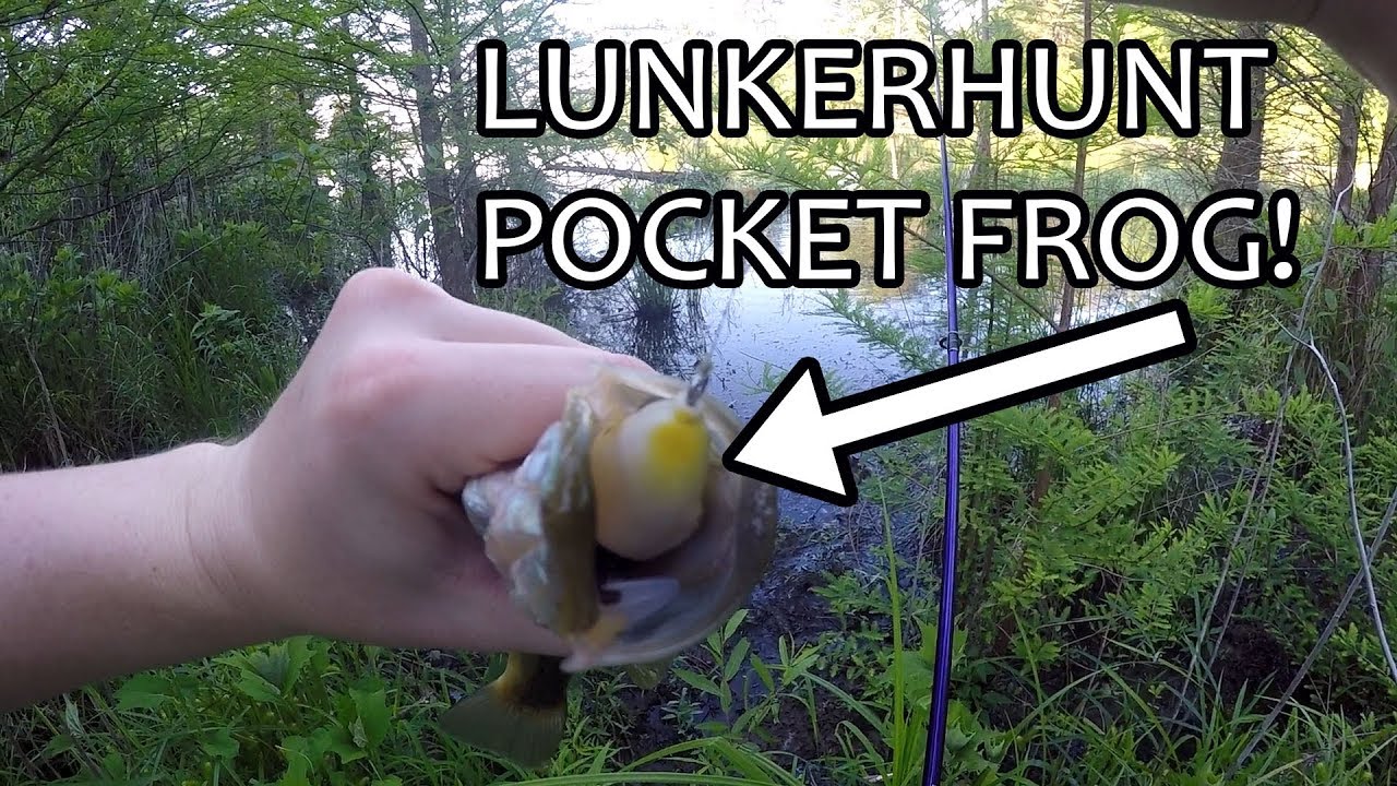 Lunkerhunt Pocket Frog Top Water Bass Fishing Lake Nevin (Frog Only