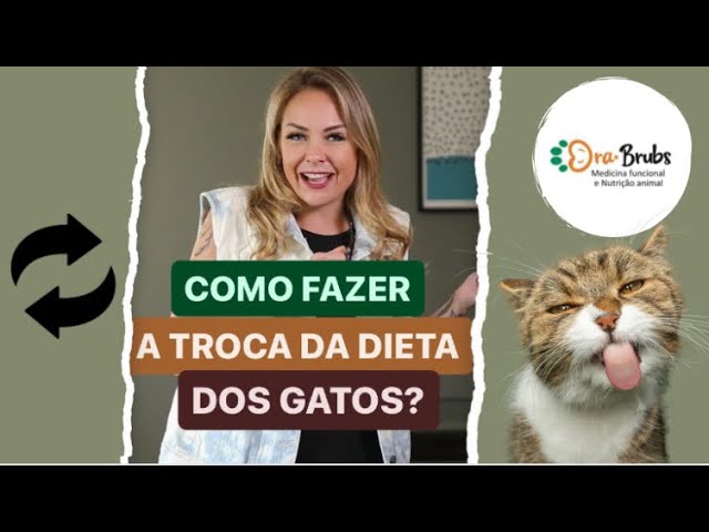 COMO FAZER A TROCA DE DIETA DOS GATOS 🐱?