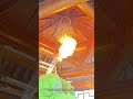 Firefighters Remove Giant Wasp Nest with Fire