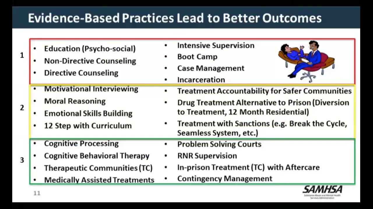 GAINS Webinar- Risk-Need-Responsivity Applications across Behavioral Health and Criminal Justice GAINS Webinar- Risk-Need-Responsivity Applications across Behavioral Health and Criminal Justice