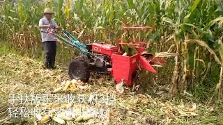 Walking tractor with corn harvester