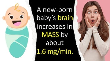 #apphysics  1 | Video solution of Ch 5 | P&C Exercises (Q37-Q47) | James S. walker 5th Edition