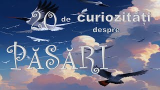 Păsări 🦅20 de curiozități 🦋📚