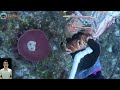 Scuba Diving to Catch Giant Lobsters Under the Sea | Aqua Quest #fishing #divng #dive #lobster