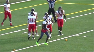 IFAF Training Tape 2021 4 Defensive pass interference Not playing the ball