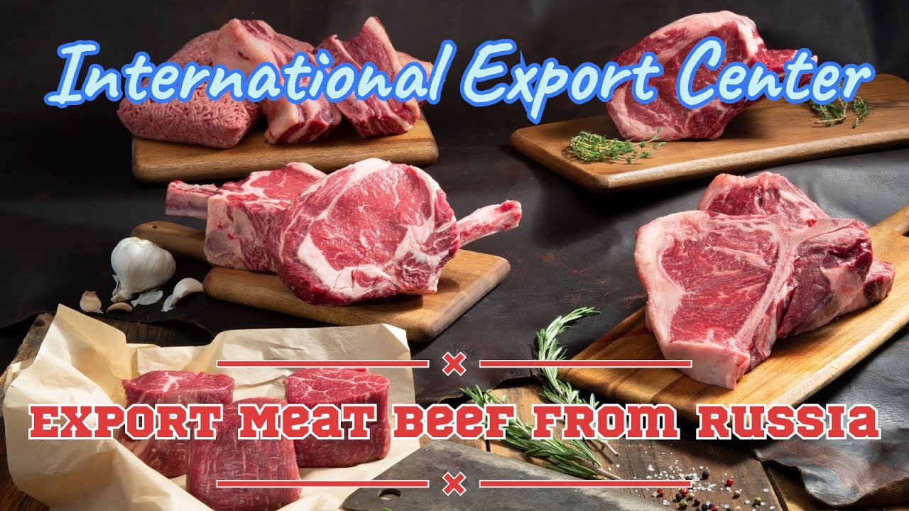 Export of Beef and Veal Meat from Russia. IEC. YouTube