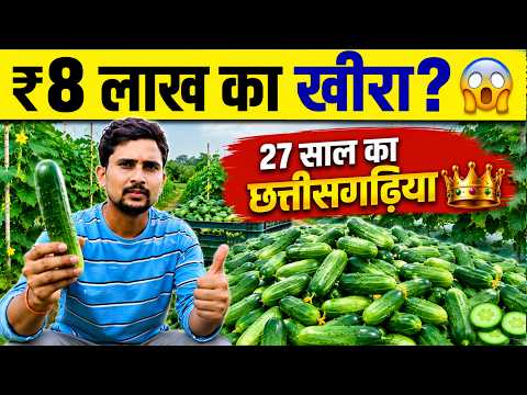 😱 ₹8 लाख का खीरा? | 27 साल का युवा किसान कैसे कर रहा है खीरे की खेती | नगरी, छत्तीसगढ़