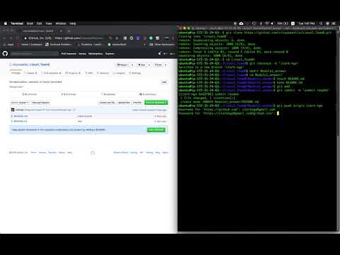Git and GitHub Workflow for Team Projects
