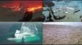 Küresel Isınma ve Deniz Seviyesi Yükselmesi ile ilgili video