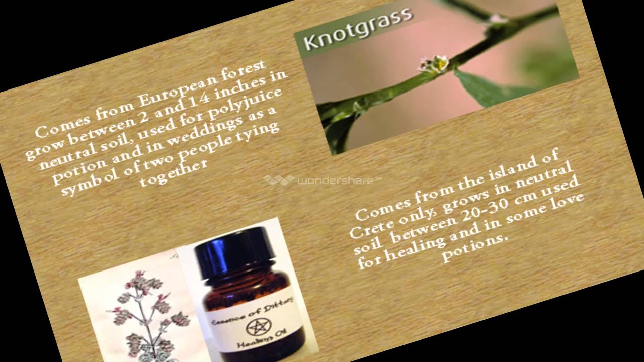 Herbology Review assigment 101 YouTube