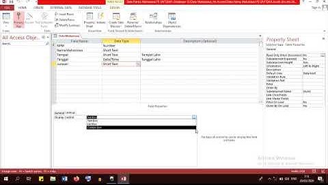 Ms  Access 2013 Pengertian dan Contoh Kasus