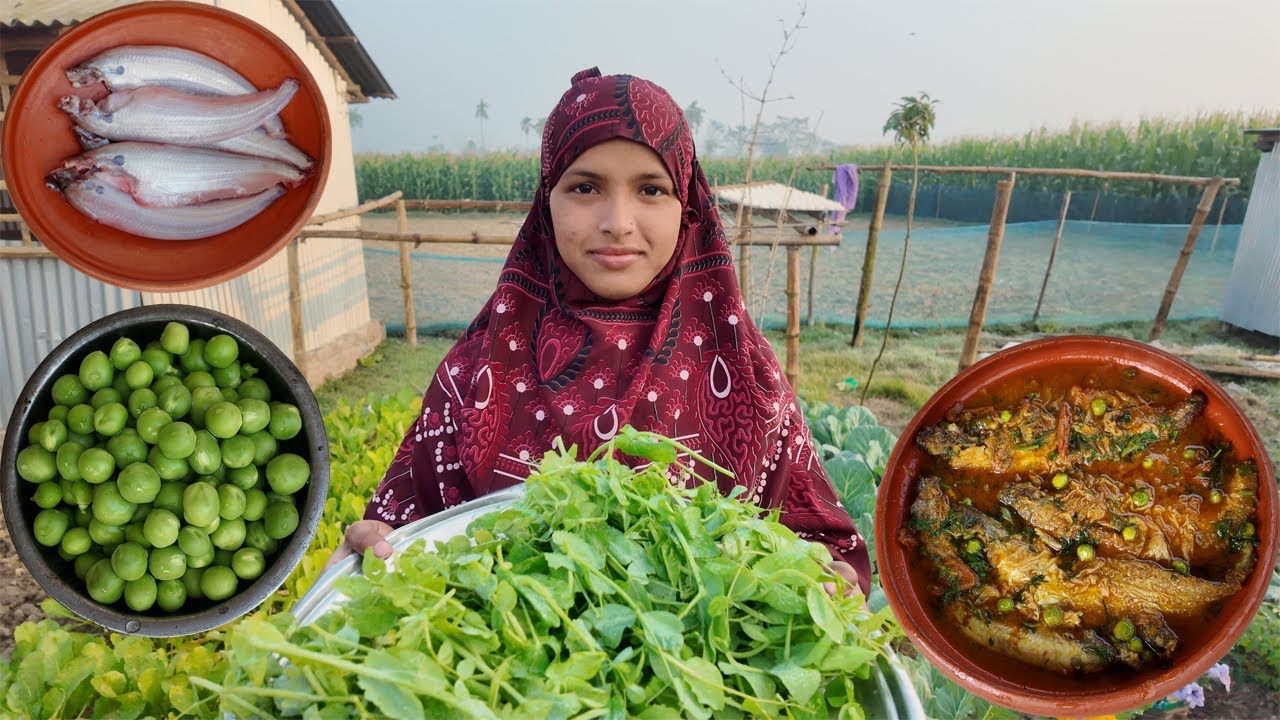 আজকে রান্না করলাম মটরশুটি ও টমেটো দিয়ে পাবদা মাছ আর খেসারির শাক ভাজি । juier songsar