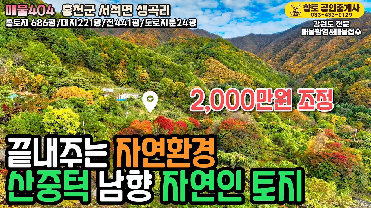 [전속매물404] 긴급 가격인하 2,000만원↓ 홍천 산중턱 남향토지 686평