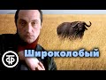 Фазиль Искандер. Широколобый. Рассказ читает Михаил Козаков (1990)