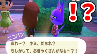 人の島で暴れてきました。【あつまれどうぶつの森】