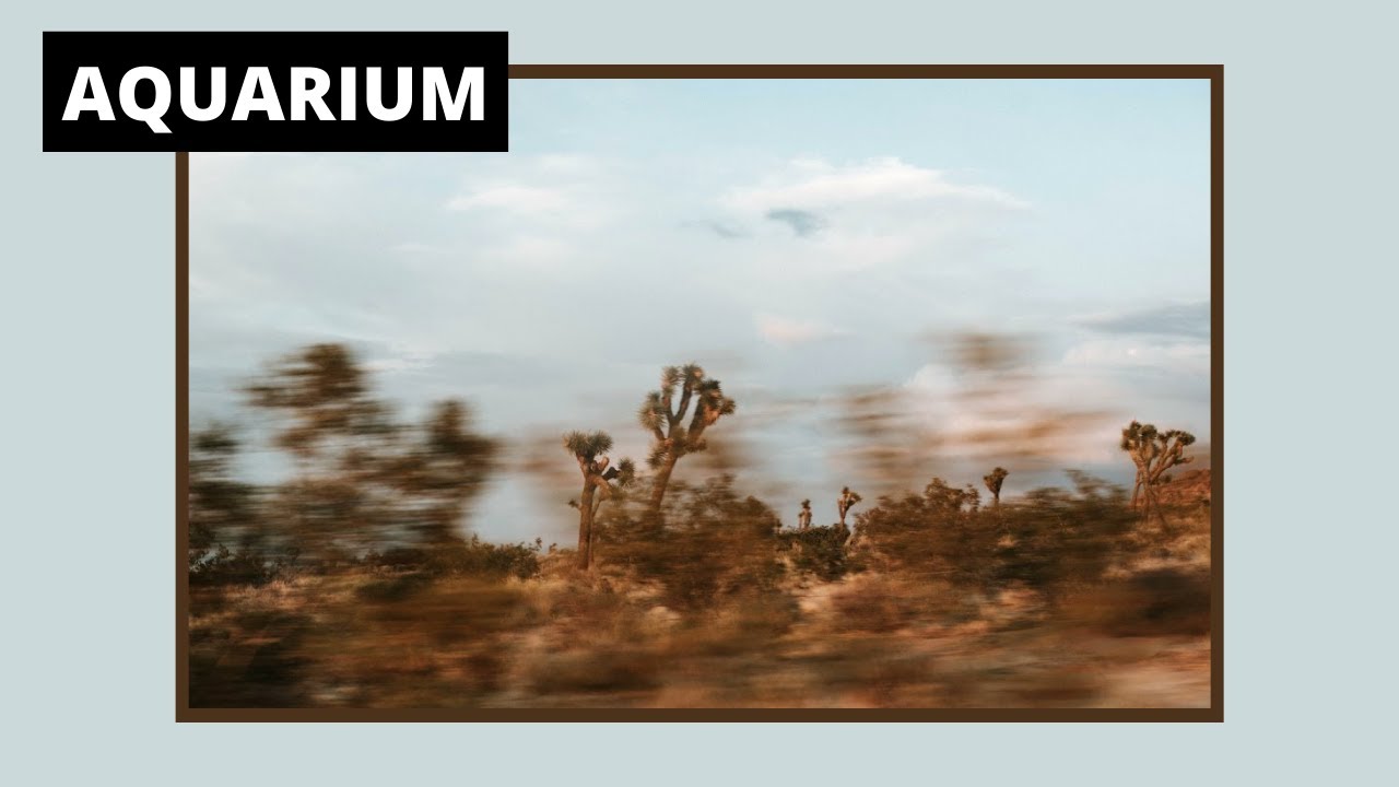 (Owl City Side Project) If the Trees Had Eyes, They'd Be Glaring at You | Aquarium (Remastered)