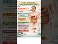 Learn the Digestive System Then Test Yourself GCSE Biology Quiz