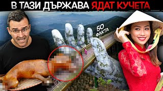 50 Факта за ВИЕТНАМ, след които ЩЕ ОСИНОВИТЕ КУЧЕ