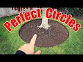 How to cut tree rings